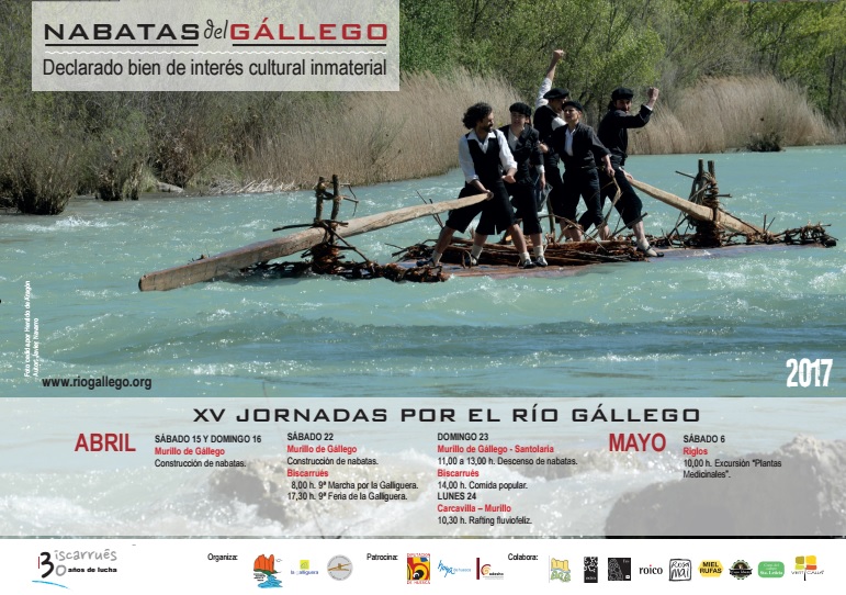 XV Baxada de nabatas en o ríu Galligo